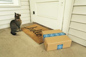 Moving to a US Virgin Islands home with a cat and package sitting outside front door