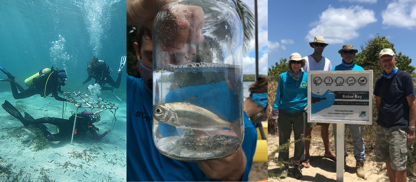 Coral reef divers, fish in a research jar, and volunteers at Robin Bay in St. Croix during Sea Turtle Week.