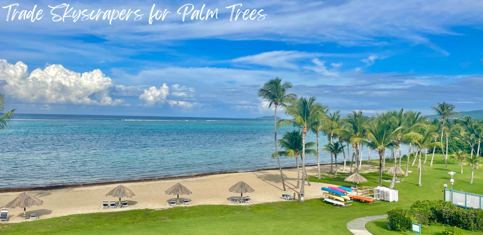 Tropical beach with palm trees and ocean view under a vibrant blue sky